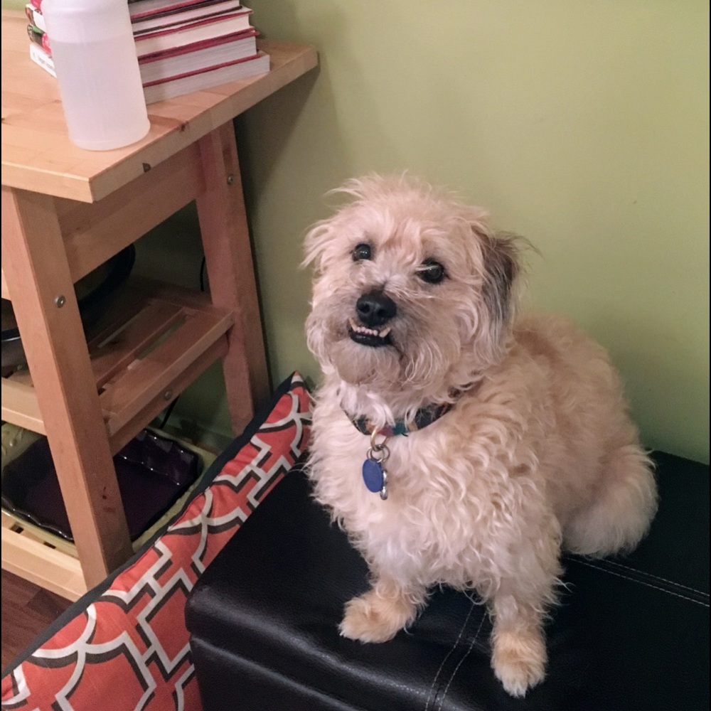 Meet your Posher, Connie